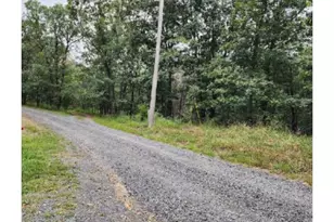 91 Lewis Wallace Ln, Romney, WV 26757 - Photo 10