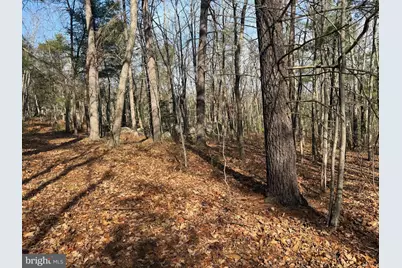 5 Cooper Mountain View, Capon Bridge, WV 26711 - Photo 4