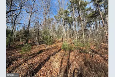 5 Cooper Mountain View, Capon Bridge, WV 26711 - Photo 22