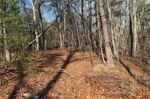 6 Cooper Mountain View, Capon Bridge, WV 26711 - Photo 1