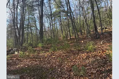 6 Cooper Mountain View, Capon Bridge, WV 26711 - Photo 8