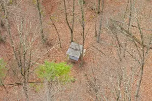 10500 Ford Hill Rd, Rio, WV 26755 - Photo 48