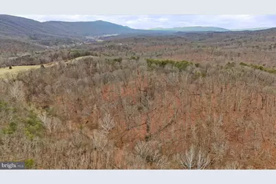 11.53 Ac W Tenacious Drive, Romney, WV 26757 - Photo 10