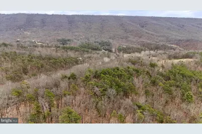 11.53 Ac W Tenacious Drive, Romney, WV 26757 - Photo 12