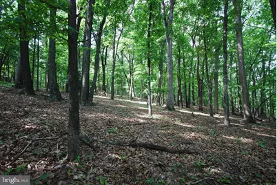 Lot 70 & 71 Mill Mountain Road, Romney, WV 26757 - Photo 4