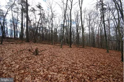 Lot 70 & 71 Mill Mountain Road, Romney, WV 26757 - Photo 26