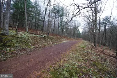 Lot 70 & 71 Mill Mountain Road, Romney, WV 26757 - Photo 42