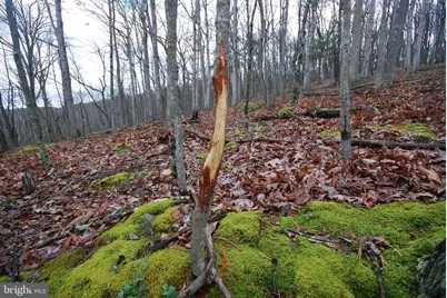 Lot 70 & 71 Mill Mountain Road, Romney, WV 26757 - Photo 26