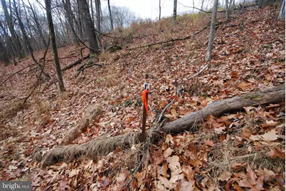 Lot 70 & 71 Mill Mountain Road, Romney, WV 26757 - Photo 16