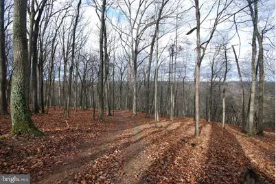 Lot 70 & 71 Mill Mountain Road, Romney, WV 26757 - Photo 10