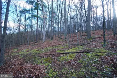 Lot 70 & 71 Mill Mountain Road, Romney, WV 26757 - Photo 6