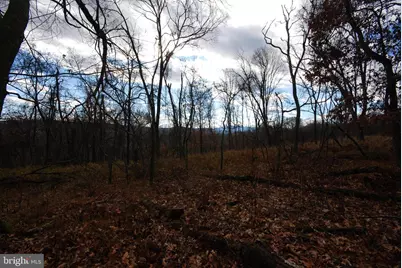 Lot 70 & 71 Mill Mountain Road, Romney, WV 26757 - Photo 14