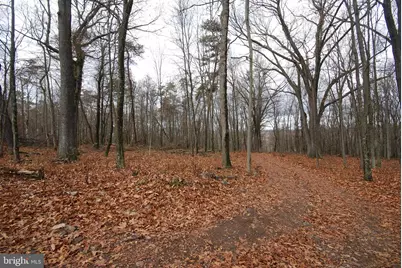 Lot 70 & 71 Mill Mountain Road, Romney, WV 26757 - Photo 12