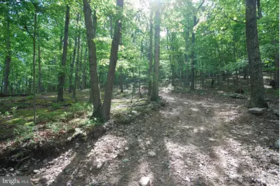 Lot 70 & 71 Mill Mountain Road, Romney, WV 26757 - Photo 10