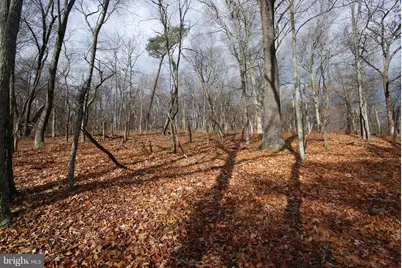 Lot 70 & 71 Mill Mountain Road, Romney, WV 26757 - Photo 18