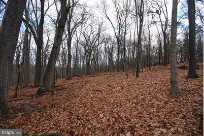 Lot 70 & 71 Mill Mountain Road, Romney, WV 26757 - Photo 38