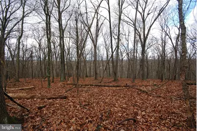 Lot 70 & 71 Mill Mountain Road, Romney, WV 26757 - Photo 22