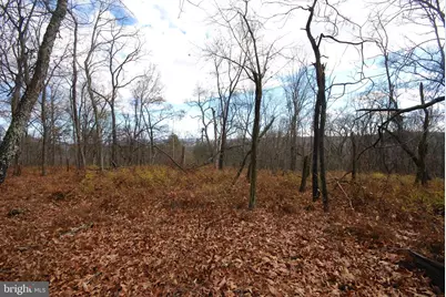 Lot 70 & 71 Mill Mountain Road, Romney, WV 26757 - Photo 12