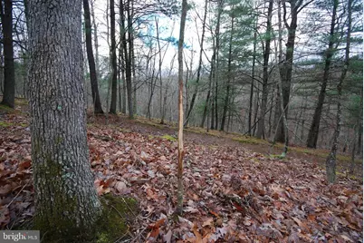 Lot 70 & 71 Mill Mountain Road, Romney, WV 26757 - Photo 40