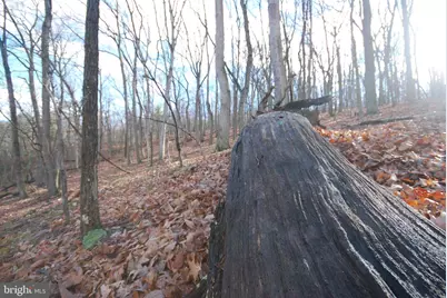 Lot 70 & 71 Mill Mountain Road, Romney, WV 26757 - Photo 8