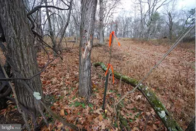 Lot 70 & 71 Mill Mountain Road, Romney, WV 26757 - Photo 34