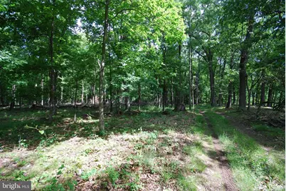 Lot 70 & 71 Mill Mountain Road, Romney, WV 26757 - Photo 8