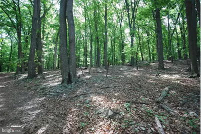Lot 70 & 71 Mill Mountain Road, Romney, WV 26757 - Photo 6