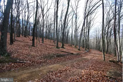 Lot 70 & 71 Mill Mountain Road, Romney, WV 26757 - Photo 8