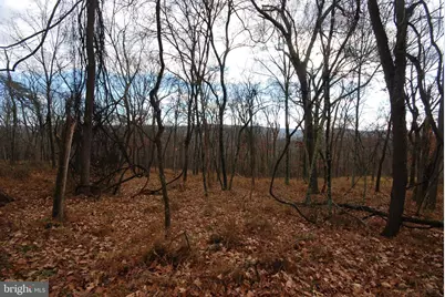 Lot 70 & 71 Mill Mountain Road, Romney, WV 26757 - Photo 30