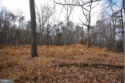 Lot 70 & 71 Mill Mountain Road, Romney, WV 26757 - Photo 36