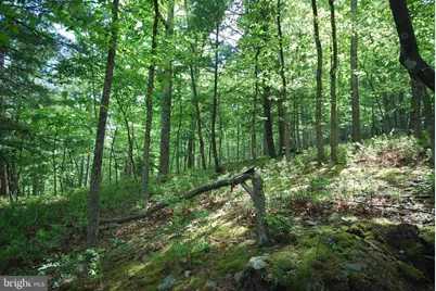 Lot 70 & 71 Mill Mountain Road, Romney, WV 26757 - Photo 12