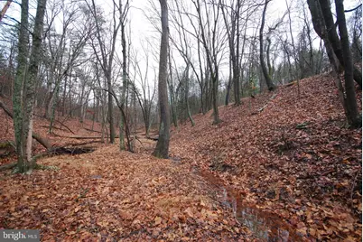 Lot 29 & 30 Staubwoods Drive, Romney, WV 26757 - Photo 6