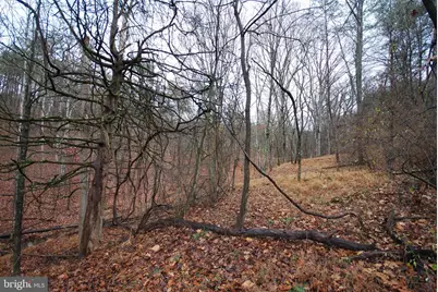 Lot 29 & 30 Staubwoods Drive, Romney, WV 26757 - Photo 8