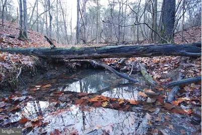 Lot 29 & 30 Staubwoods Drive, Romney, WV 26757 - Photo 1