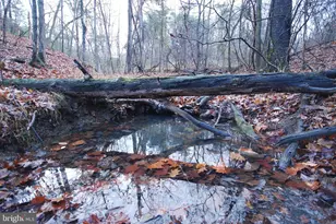 Lot 29 & 30 Staubwoods Dr, Romney, WV 26757 - Photo 1