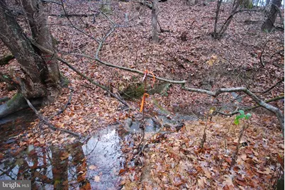 Lot 29 & 30 Staubwoods Drive, Romney, WV 26757 - Photo 10