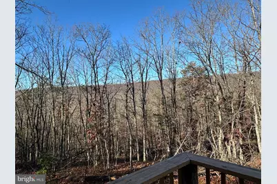 600 Buck Run Road, Delray, WV 26714 - Photo 14