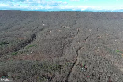 600 Buck Run Road, Delray, WV 26714 - Photo 48