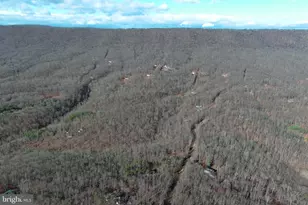 600 Buck Run Rd, Delray, WV 26714 - Photo 48