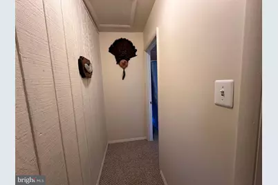 600 Buck Run Road, Delray, WV 26714 - Photo 38