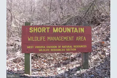 600 Buck Run Road, Delray, WV 26714 - Photo 54