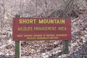 600 Buck Run Rd, Delray, WV 26714 - Photo 54