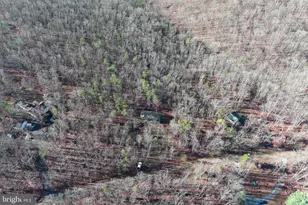 600 Buck Run Rd, Delray, WV 26714 - Photo 46