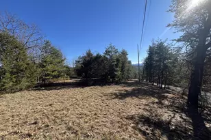 60 Angle Dr, Purgitsville, WV 26852 - Photo 70