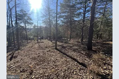 60 Angle Drive, Purgitsville, WV 26852 - Photo 76