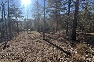 60 Angle Dr, Purgitsville, WV 26852 - Photo 76