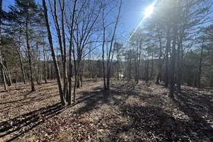 60 Angle Dr, Purgitsville, WV 26852 - Photo 74