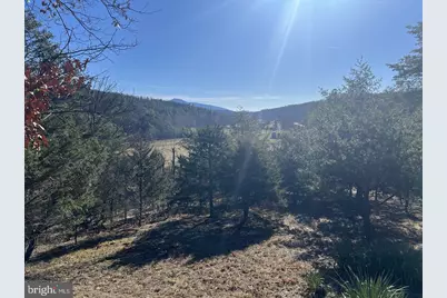 60 Angle Drive, Purgitsville, WV 26852 - Photo 8