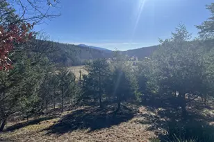 60 Angle Dr, Purgitsville, WV 26852 - Photo 8