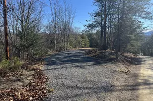 60 Angle Dr, Purgitsville, WV 26852 - Photo 68